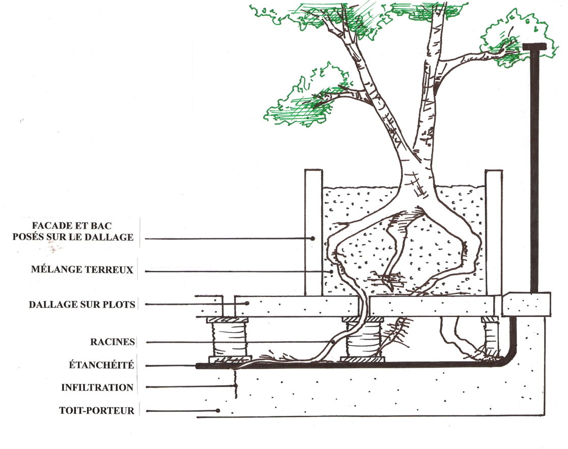 philippe Bouncer, paysagiste